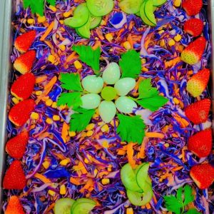 DIA DOS PAIS BOM PRATO GUAIANASES